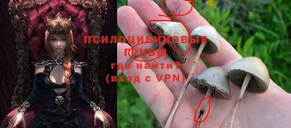 apvp Фурманов