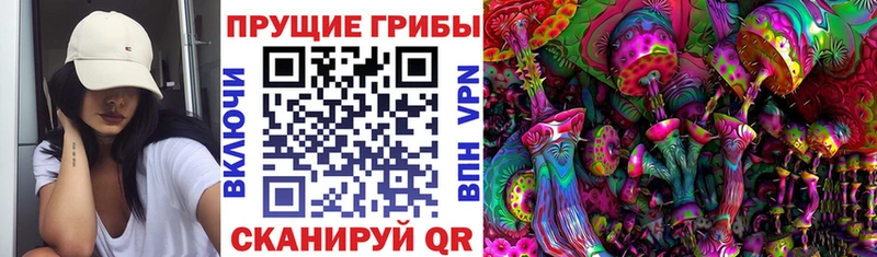 Купить Соль-Илецк Псилоцибиновые грибы прущие грибы