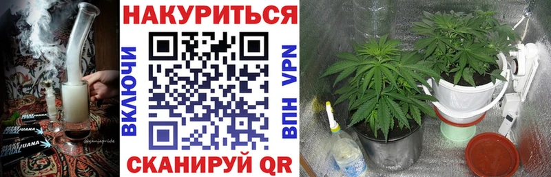 Купить закладки Соль-Илецк Бошки Шишки ГИДРОПОН